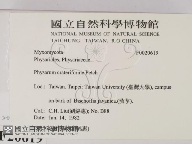 登錄號:F0020619藏品圖，第2張