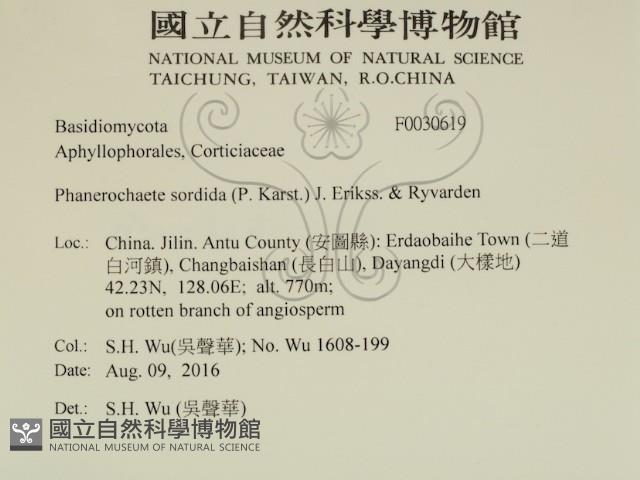 登錄號:F0030619藏品圖，第2張