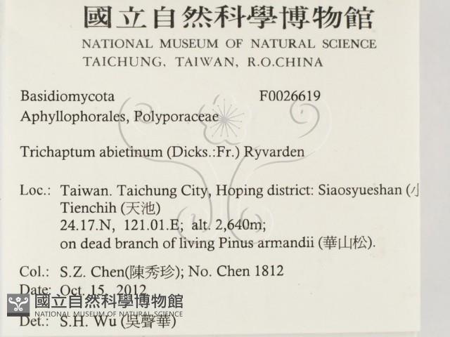 登錄號:F0026619藏品圖，第2張
