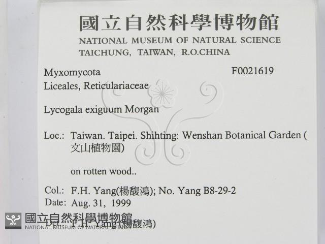 登錄號:F0021619藏品圖，第2張
