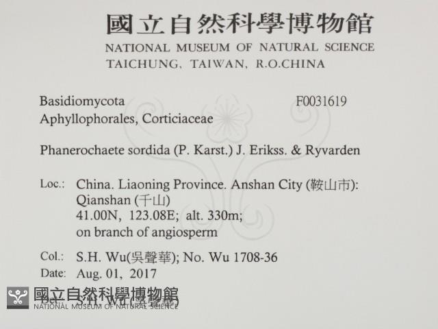 登錄號:F0031619藏品圖，第2張