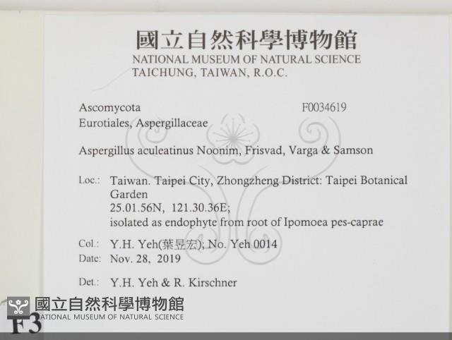 登錄號:F0034619藏品圖，第2張