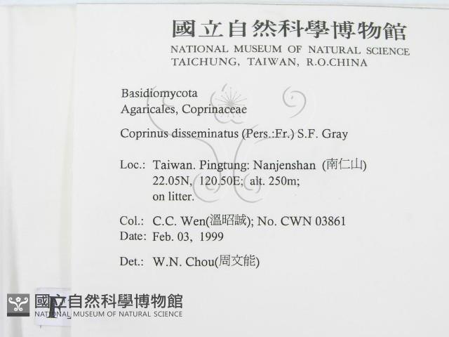 登錄號:F0012619藏品圖，第2張
