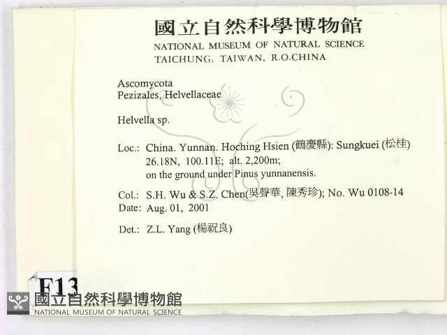 登錄號:F0013619藏品圖，第2張