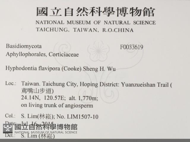 登錄號:F0033619藏品圖，第2張