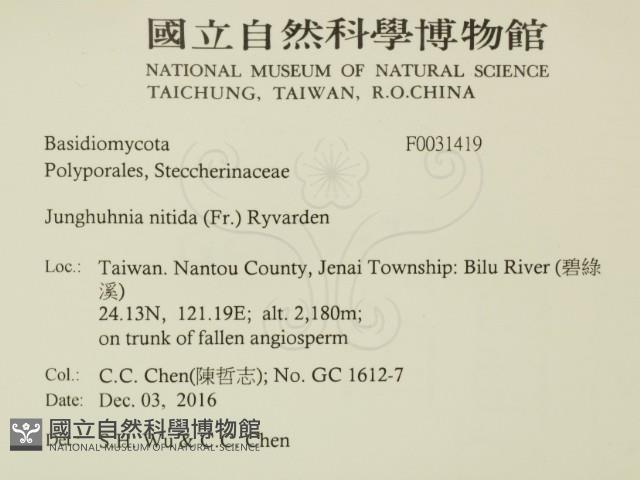 登錄號:F0031419藏品圖，第2張