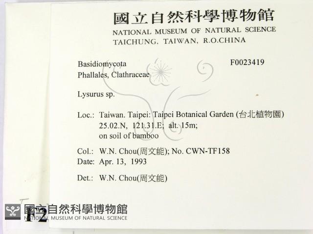 登錄號:F0023419藏品圖，第2張