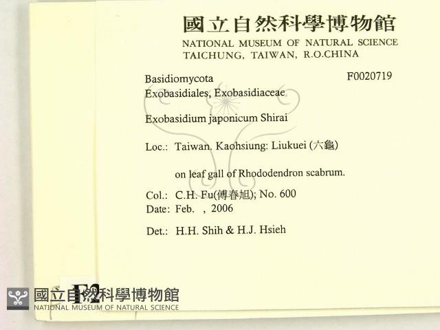 登錄號:F0020719藏品圖，第2張