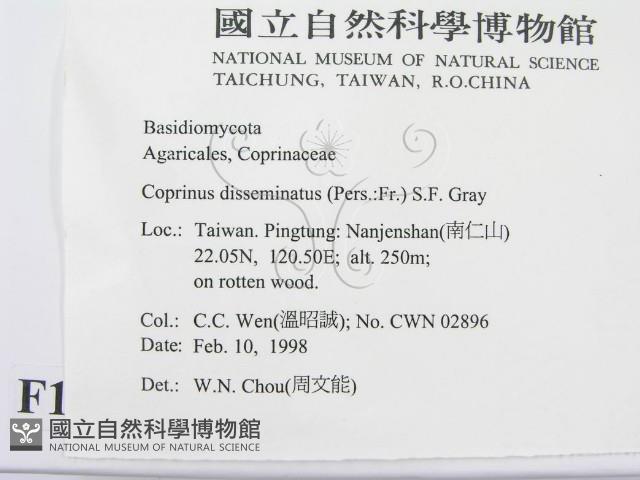 登錄號:F0010719藏品圖，第2張