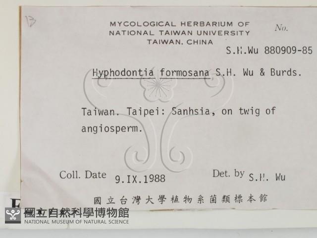 登錄號:F0021719藏品圖，第2張