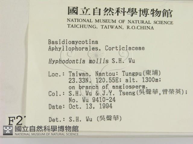 登錄號:F0002719藏品圖，第2張