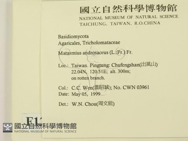 登錄號:F0012719藏品圖，第2張
