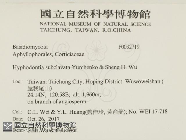 登錄號:F0032719藏品圖，第2張