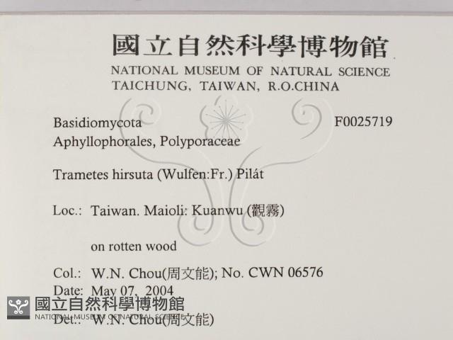 登錄號:F0025719藏品圖，第2張