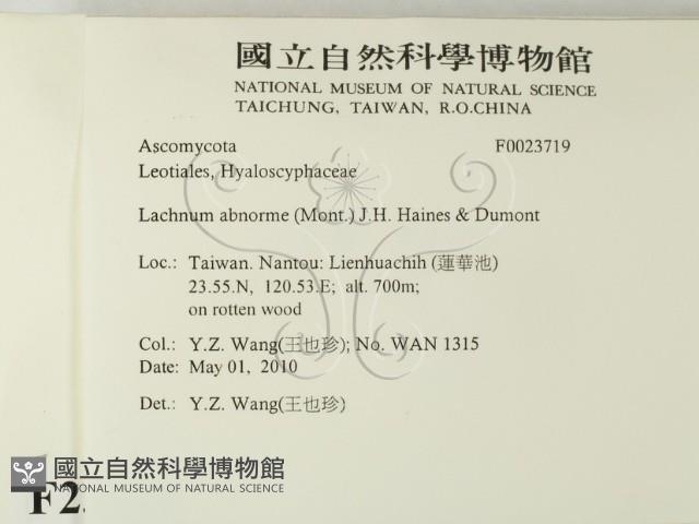 登錄號:F0023719藏品圖，第2張