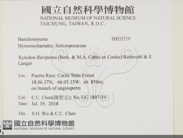 登錄號:F0033719藏品圖，第2張