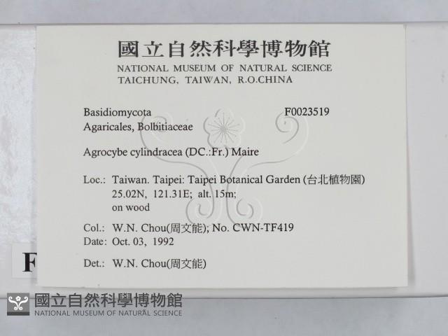 登錄號:F0023519藏品圖，第2張