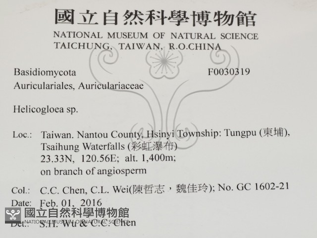 登錄號:F0030319藏品圖，第2張