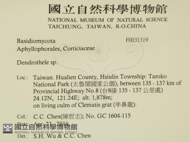 登錄號:F0031319藏品圖，第2張