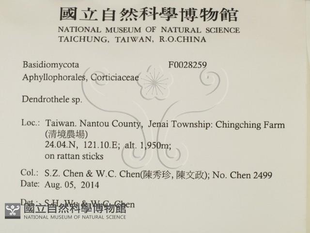 登錄號:F0028259藏品圖，第2張