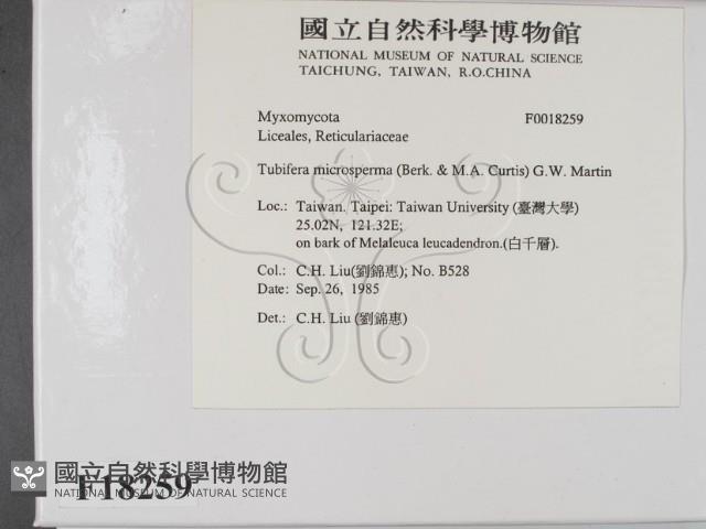 登錄號:F0018259藏品圖，第2張