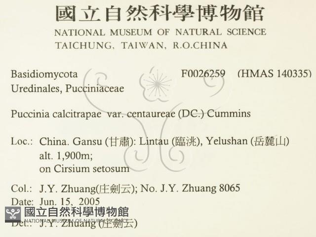 登錄號:F0026259藏品圖，第2張