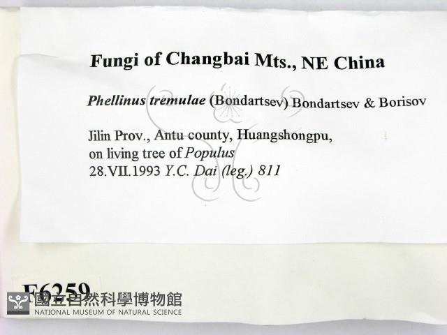 登錄號:F0006259藏品圖，第2張