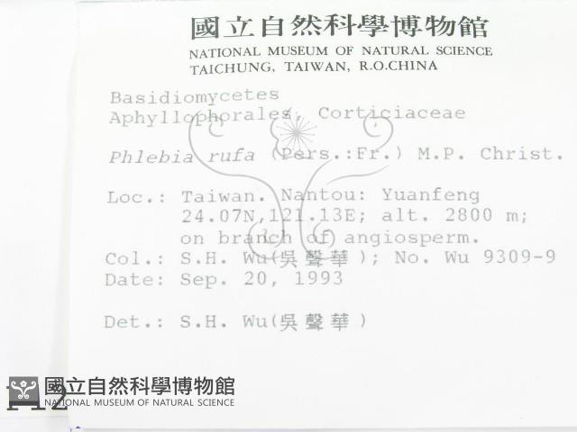 館號:F0001259藏品圖，第2張