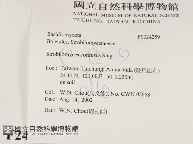 登錄號:F0024259藏品圖，第2張