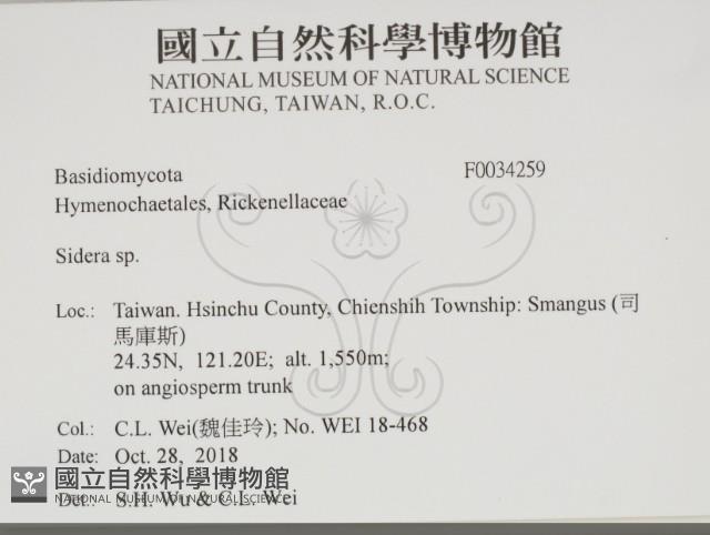 登錄號:F0034259藏品圖，第2張