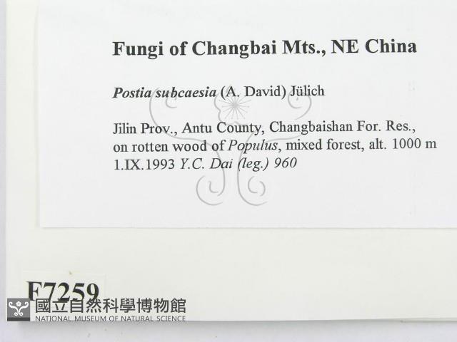 登錄號:F0007259藏品圖，第2張