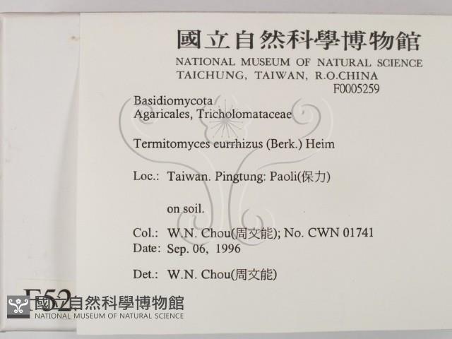 登錄號:F0005259藏品圖，第2張