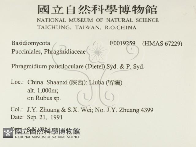 登錄號:F0019259藏品圖，第2張