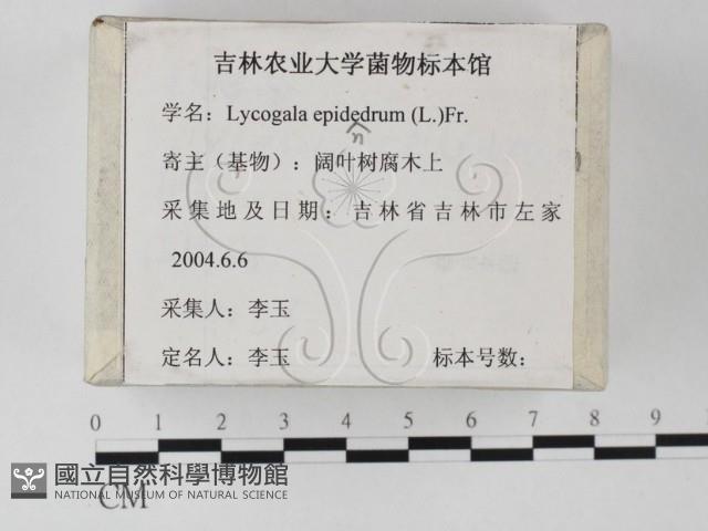 登錄號:F0023259藏品圖，第2張