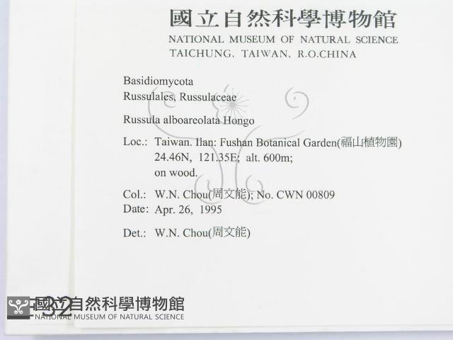 登錄號:F0003259藏品圖，第2張