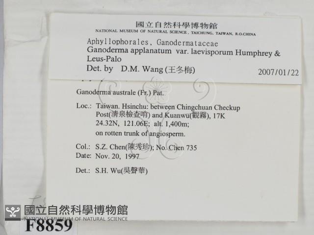登錄號:F0008859藏品圖，第2張