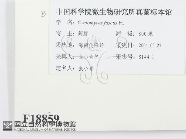 登錄號:F0018859藏品圖，第2張