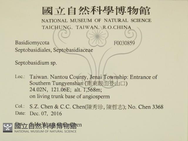 登錄號:F0030859藏品圖，第2張