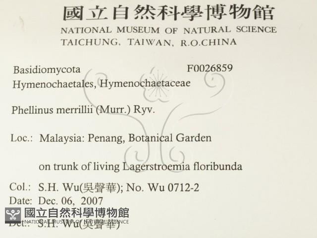 登錄號:F0026859藏品圖，第2張