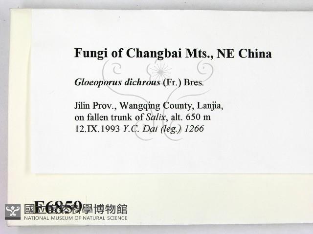 登錄號:F0006859藏品圖，第2張