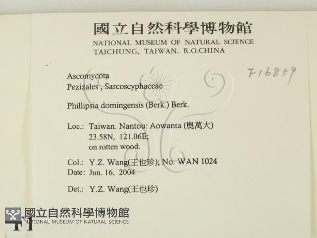 登錄號:F0016859藏品圖，第2張