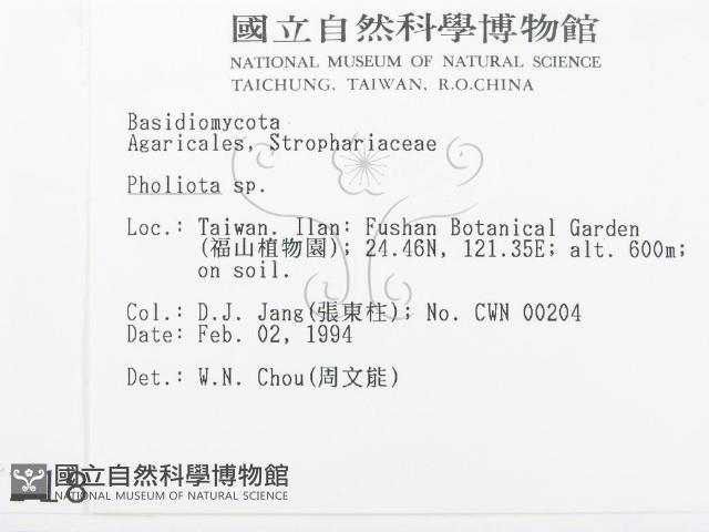 登錄號:F0001859藏品圖，第2張