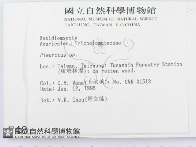 登錄號:F0004859藏品圖，第2張