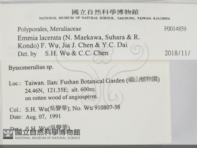 登錄號:F0014859藏品圖，第2張