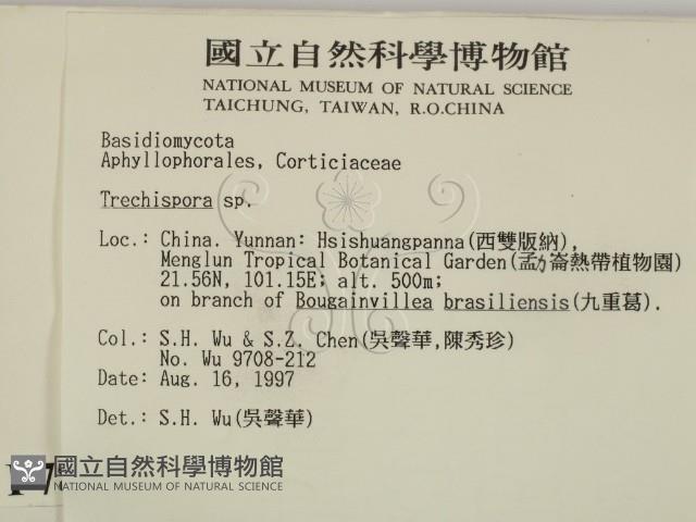 登錄號:F0007859藏品圖，第2張