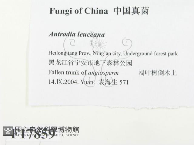 登錄號:F0017859藏品圖，第2張