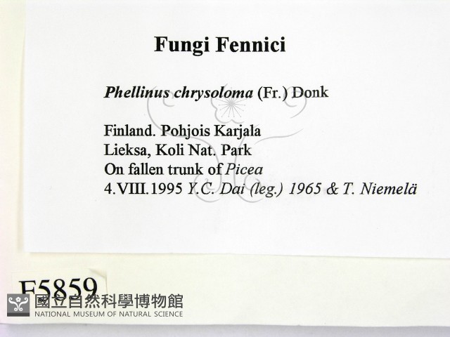 登錄號:F0005859藏品圖，第2張