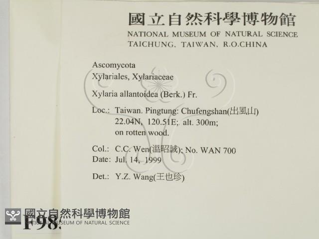 登錄號:F0009859藏品圖，第2張