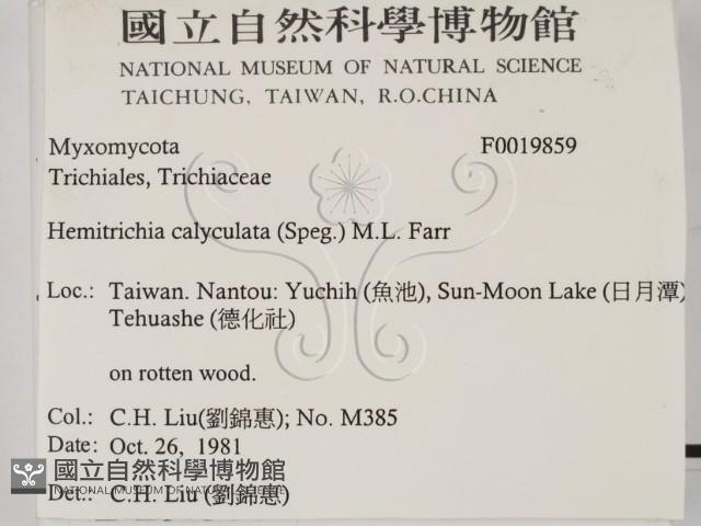登錄號:F0019859藏品圖，第2張