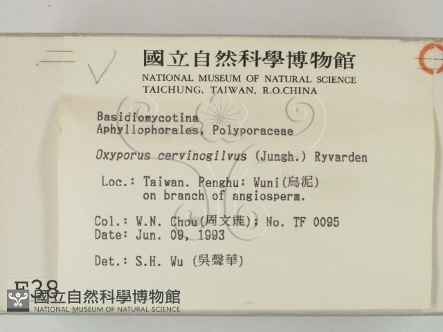 登錄號:F0003859藏品圖，第2張